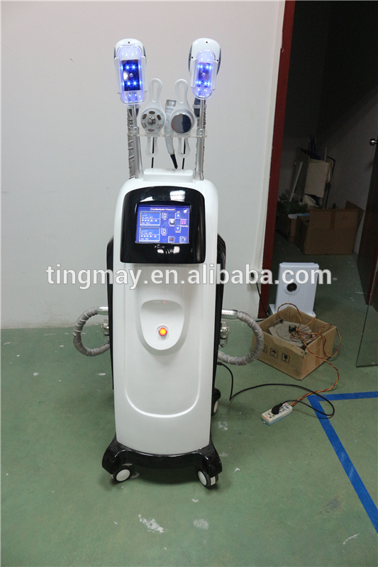 fat freezing body slimming Cryolipolysis machine clinic device TM-918B