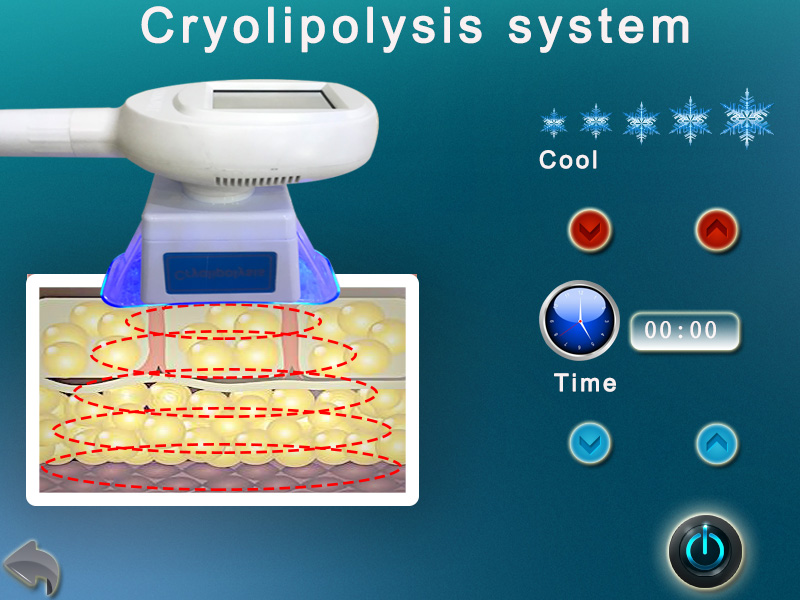 -14 degree freeze temperature big cryo handle body abdomen fat freeze cryolipolysis machine