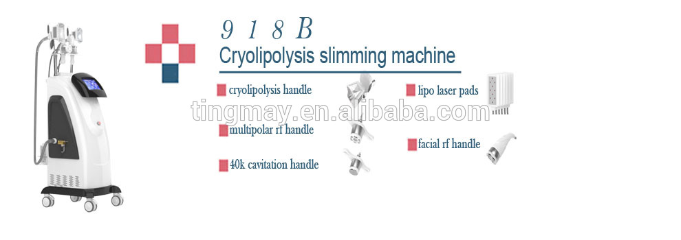 2017 fat freezing cryolipolysis machine for sale / cryolipolysis machine to buy