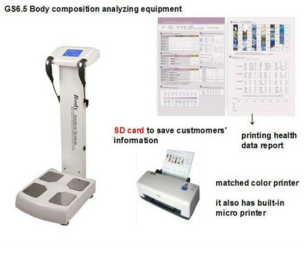 Professional body fat analyzer/body composition analyzer/body element analyzer TM-GS6.5