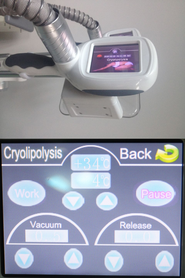 2019 New Vacuum Cryolipolsis fat freeze slim Frozen cavitation rf lipo laser weight loss machine on sale