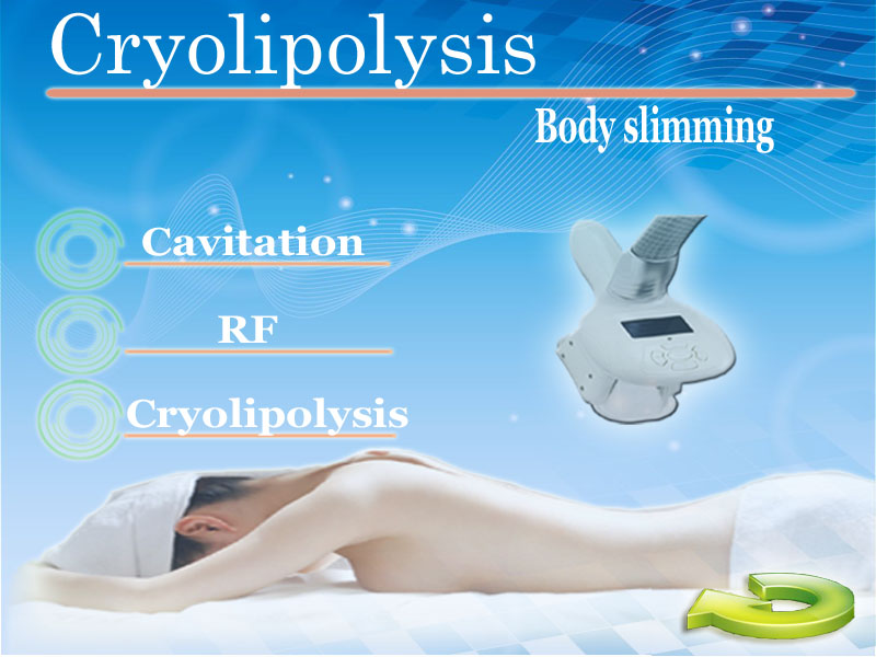 4 handpiece cryolipolysis fat freezing / cryolipolysis slimming machine /cryolipolysis for fat reduction,