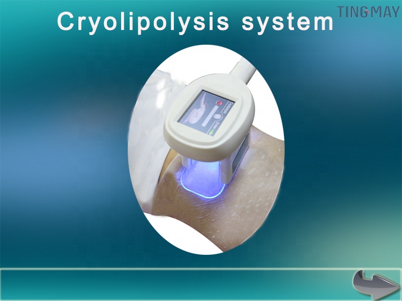 2019 new model one cryo handle portable cryolipolysis machine fat freeze