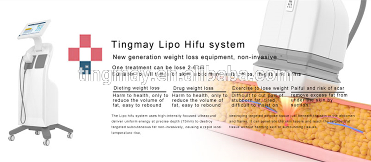 Tingmay Lipo Hifu system 13mm 8mm
