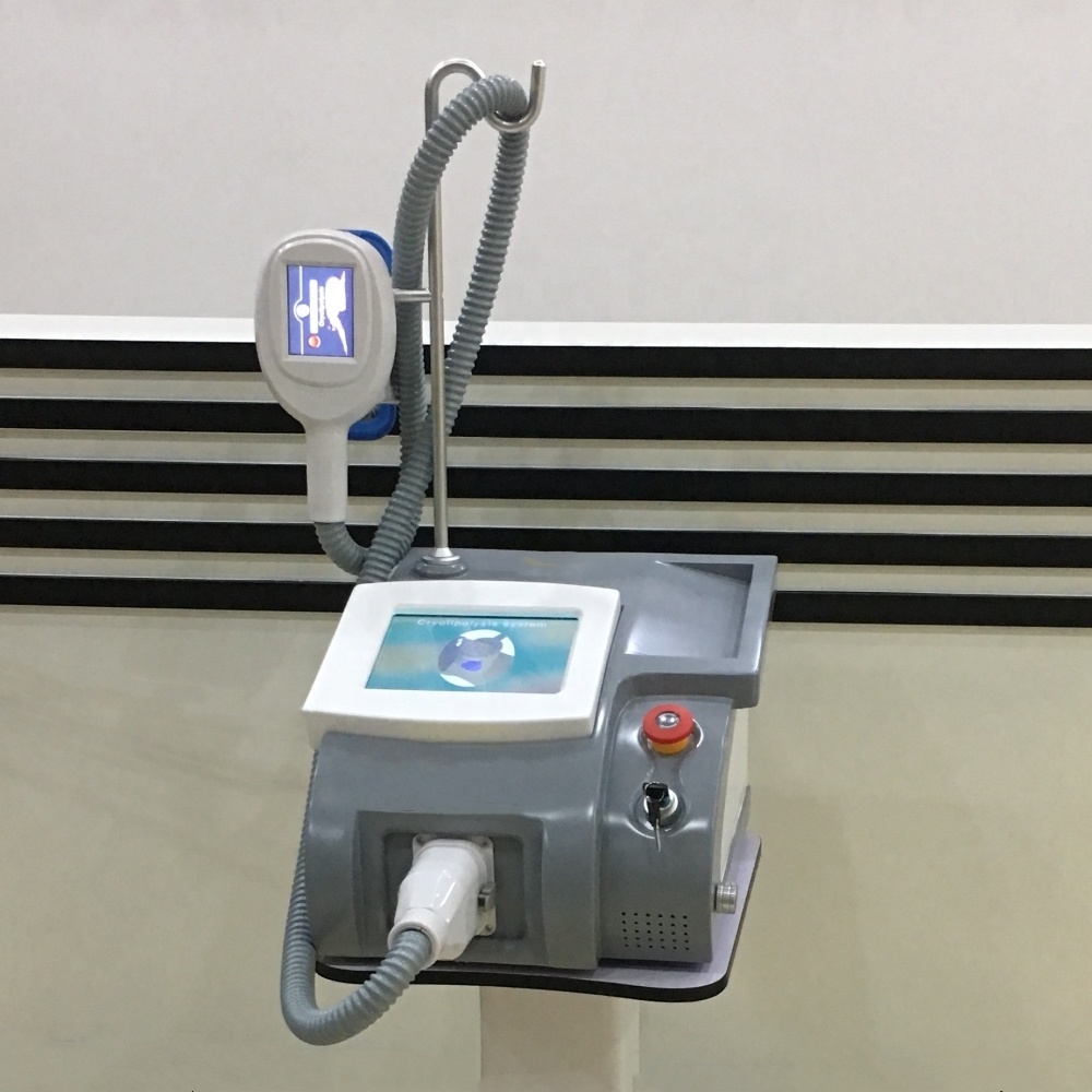 Tingmay factory 2019 new item portable fat freeze cryolipolisis machine with 2 changeable cryo handles