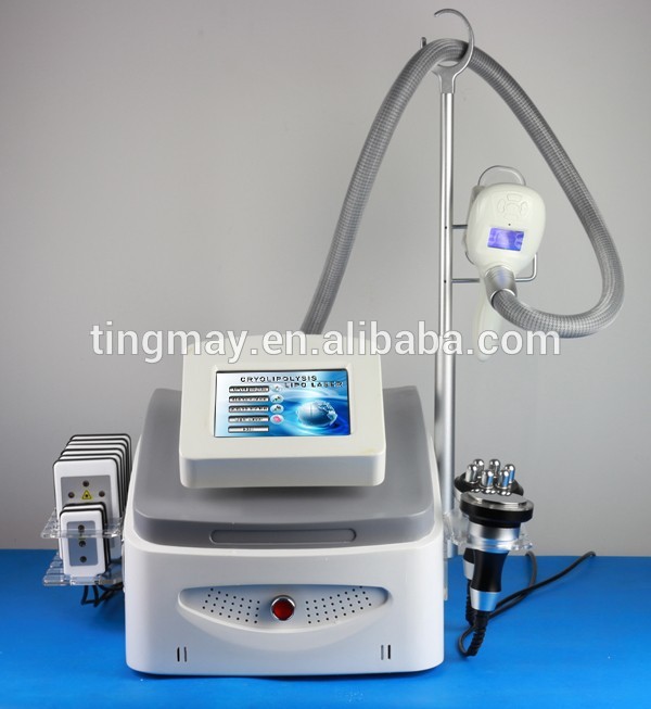 4in1 Cryolypolysis lipolaser slimming machine TM-908A