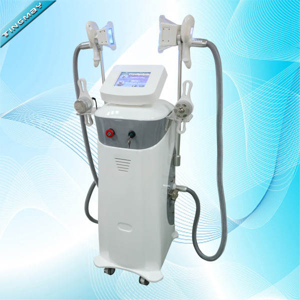 Vertical professional cryotherapy cryolipolysis slimming machine